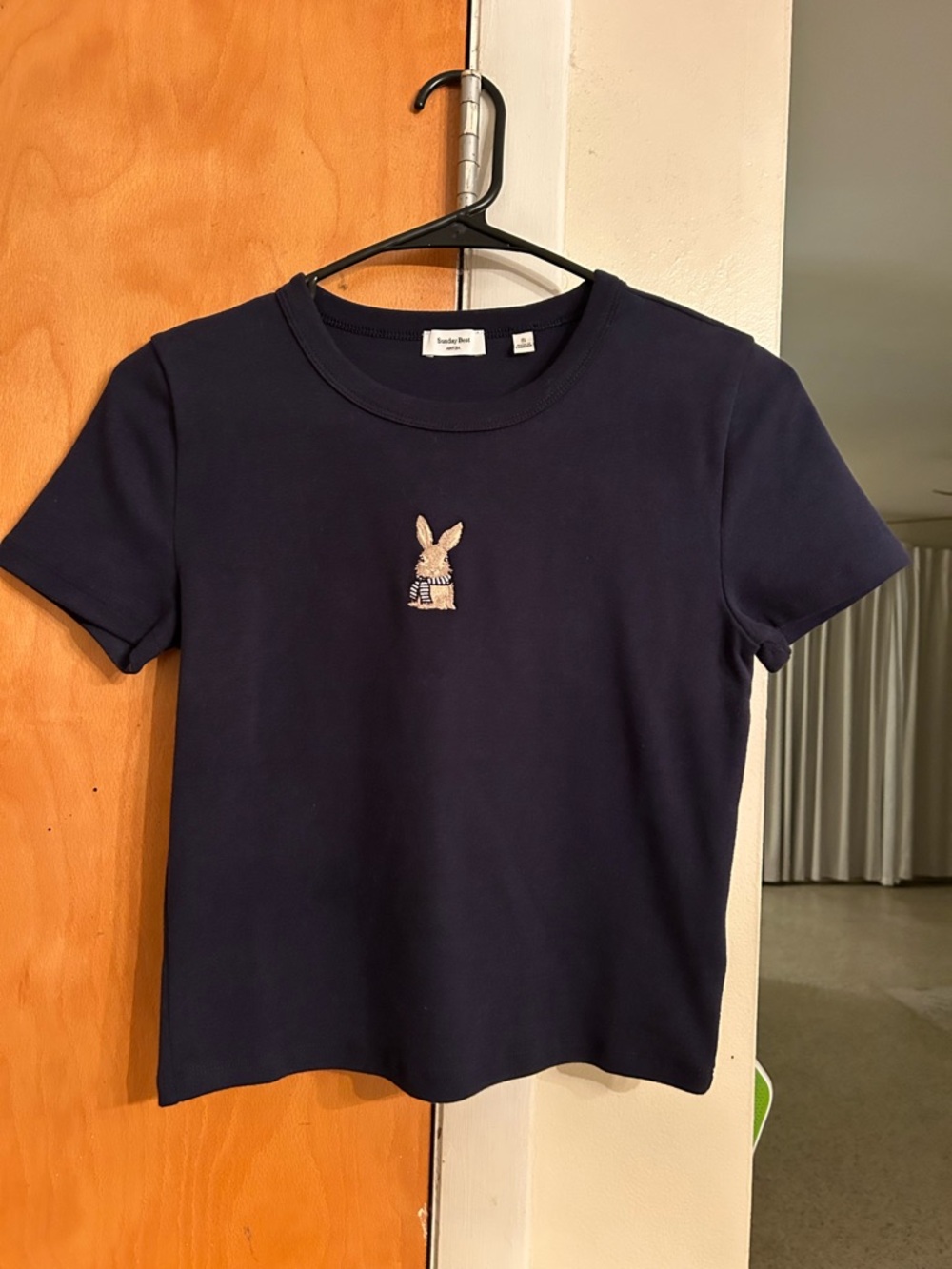 Aritzia shirt